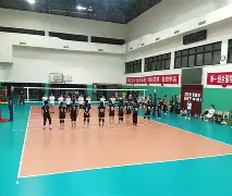 棒球大奖赛掀起高潮，岭南巨龙队淘汰对手江汉迅豹队，战至最后一刻——二次进攻频频奏效的简单介绍