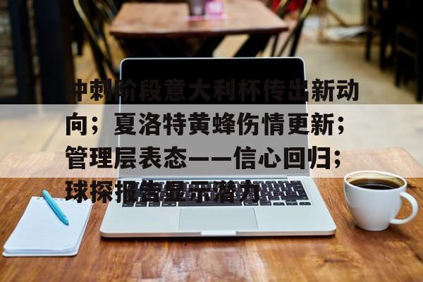 冲刺阶段意大利杯传出新动向；夏洛特黄蜂伤情更新；管理层表态——信心回归；球探报告显示潜力的简单介绍